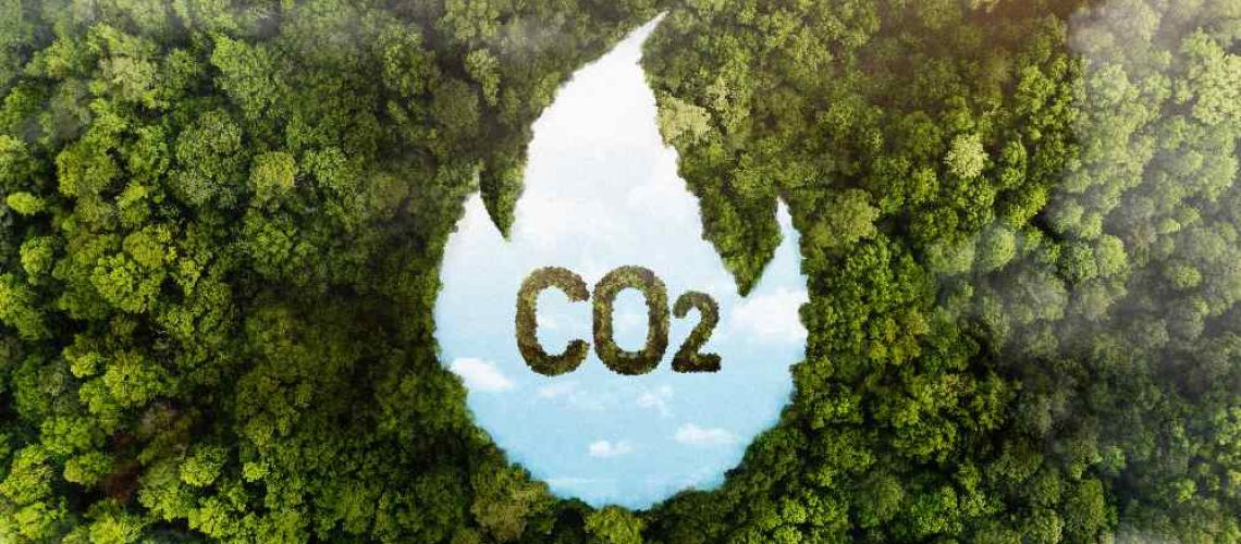 reducir la huella de carbono en la cadena de suministro